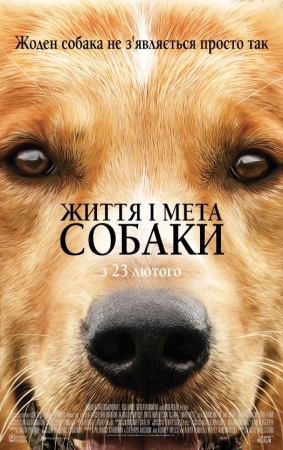 Жизнь и цель собаки (Собачья жизнь) A Dog's Purposez- все о фильме на ! - «Афиша»