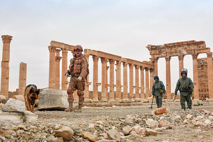 Россия и Сирия снимут первый совместный фильм «Пальмира» - «Кино Новости»