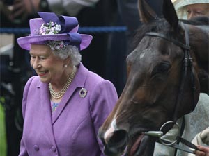 Британской королеве грозит штраф за допинг принадлежащей ей скаковой лошади - «Конный спорт»