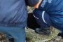 В Пензе спасатели достали собаку из колодца - СПОРТ