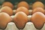 В Пензе антимонопольная служба проверит цены на яйца - СПОРТ