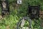 Возле Заречного разрастается кладбище домашних животных - СПОРТ