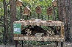 В Заречном устроили столовую для лесных птиц и белок - СПОРТ