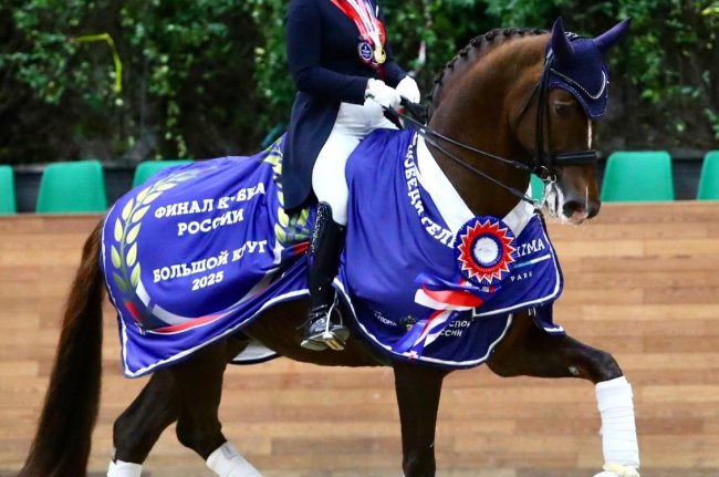 Победа на Кубке России - «Ярославский спорт»