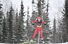 Еще четверо россиян приняли приглашение МОК на Олимпиаду - «Зимние виды»