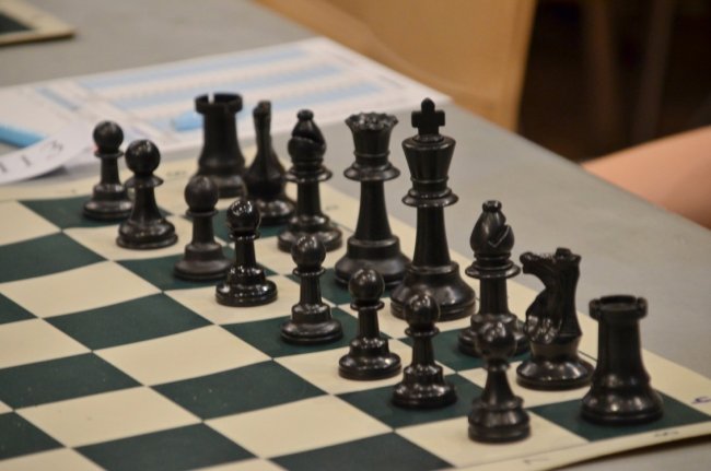 Бронза и серебро ярославских шахматистов - «Ярославский спорт»