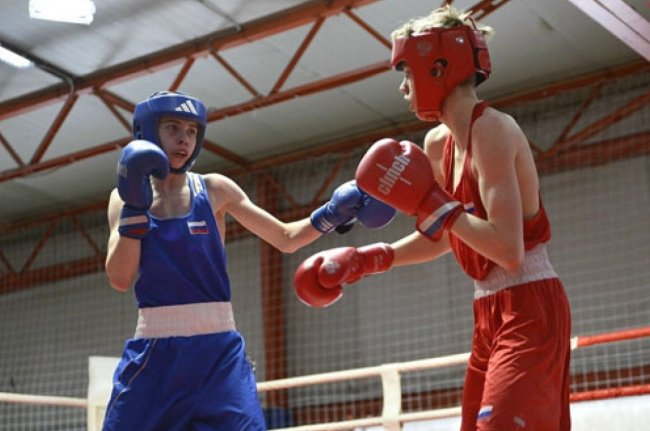 Отличились боксеры Ярославского региона - «Ярославский спорт»