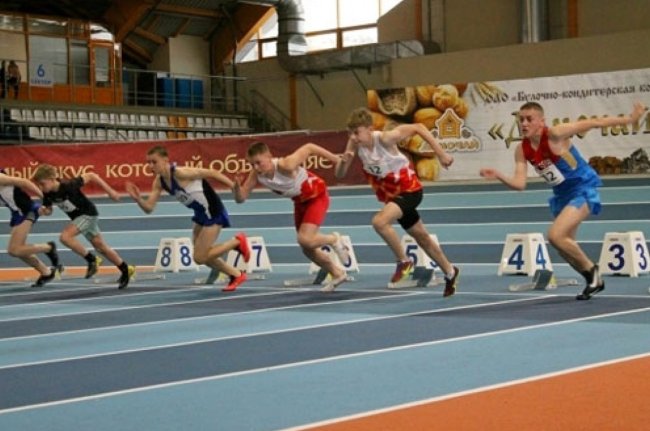 Триумф рыбинских спортсменов - «Ярославский спорт»