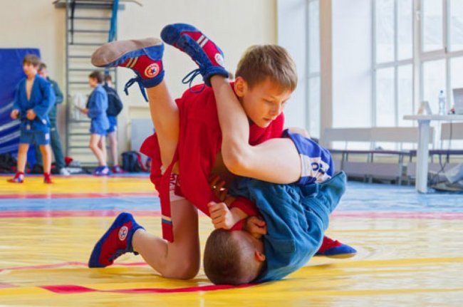 Семь медалей хозяев - «Ярославский спорт»