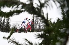 В Норвегии воспротивились участию российских лыжников в соревнованиях - «Зимние виды»